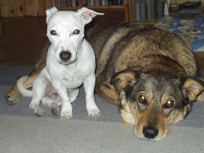 MilakogHannibal.bmp (360054 bytes)